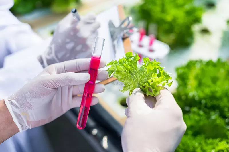 कीटनाशक अवशेष कोलाइडल गोल्ड डिटेक्शन कार्ड (Pendimethalin)