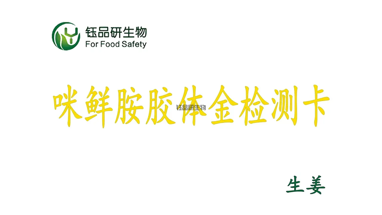 अदरक मिक्सानामाइन कीटनाशक अवशेष त्वरित स्क्रीनिंग: कोलाइडल गोल्ड डिटेक्शन कार्ड 