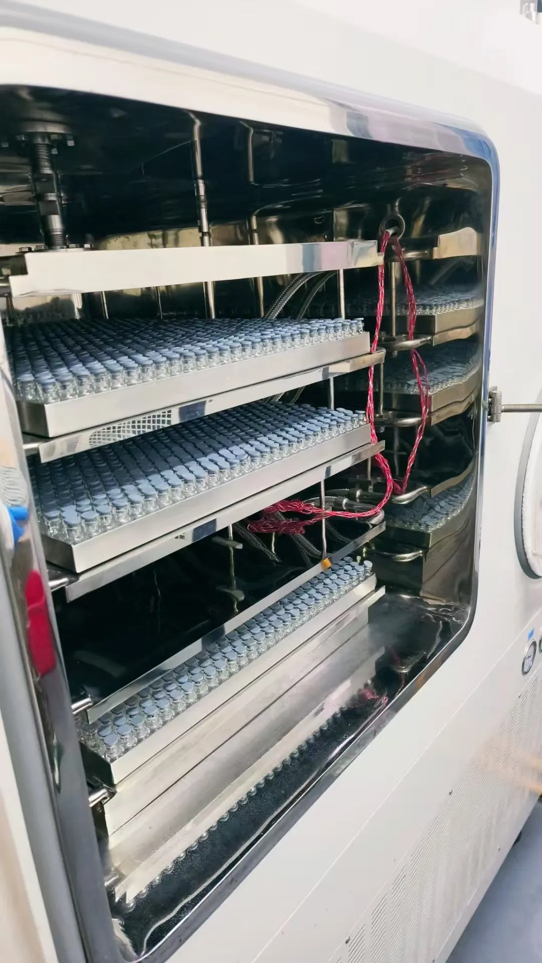 Customized freeze-drying service