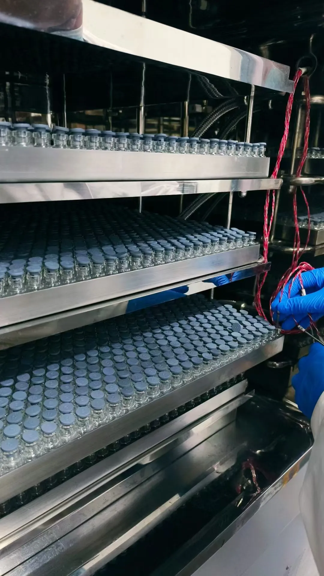 Exosoom gevriesdroogd poeder: het doorbreken van de koude ke